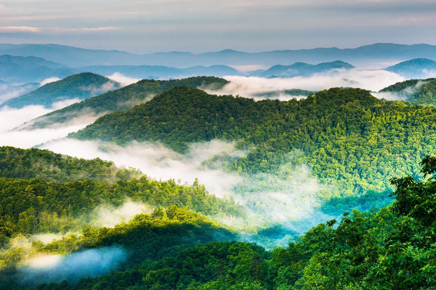 Smoky Mountain Photos - Cades Cove Gallery, Photographer Barry Spruce.