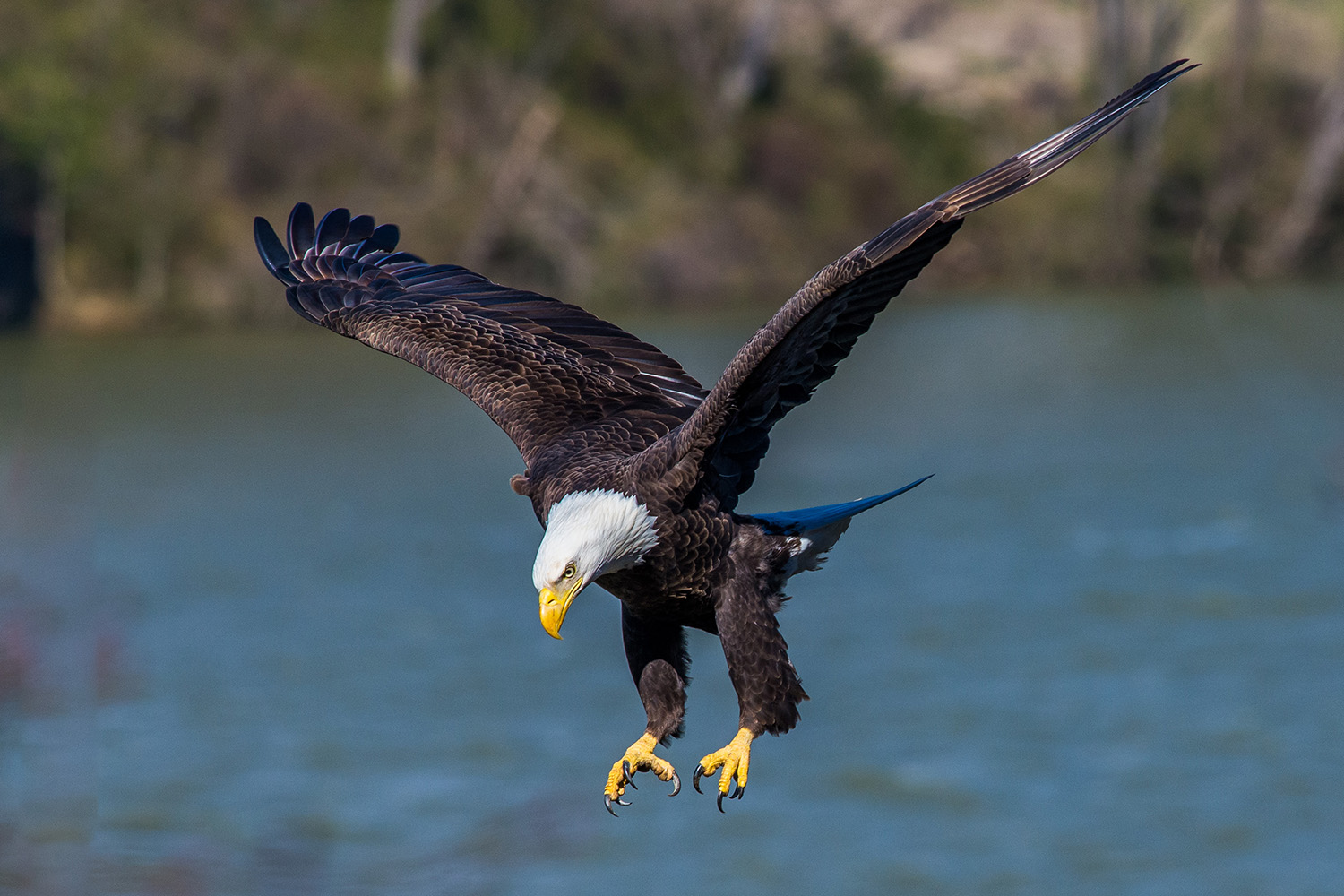 Smoky Mountain Photos - Artistic Prints Available at Cades Cove Gallery, Townsend, TN