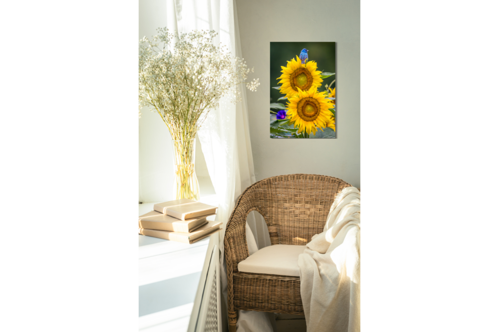 Metal print with float mount hanging over chair in a reading nook