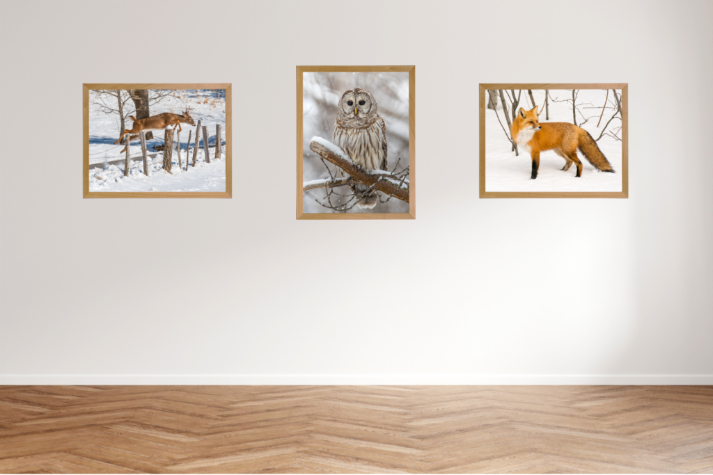 Hallway with grouping of three wildlife metal prints in simple wood frames