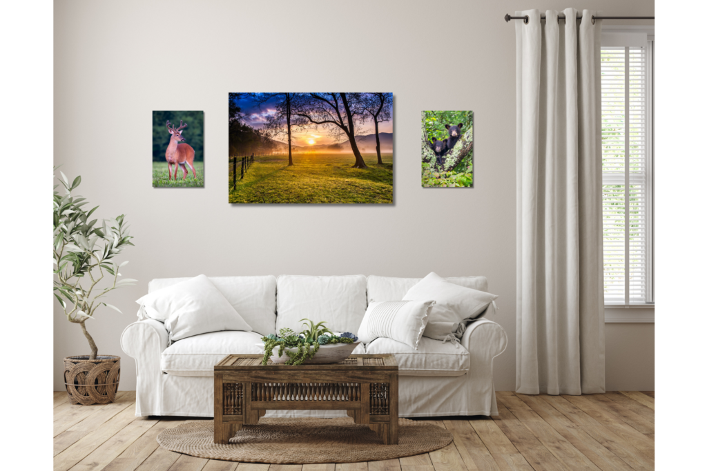 Living room couch with sunrise image flanked by two wildlife images behind it