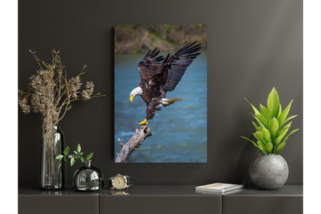 Metal print with float mount handing above a shelf